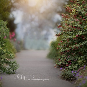 May include: A path lined with lush greenery and vibrant pink flowers leads to a blurred background of a sunny, misty forest. The path is paved with grey concrete and the flowers are in full bloom. The image is a digital backdrop for photography.