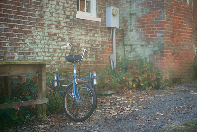 Digital Vintage Park with vintage bike image 1