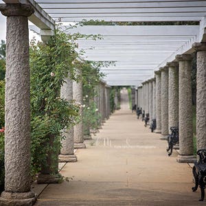 Digital Background of spring arbor with pillars and flowers