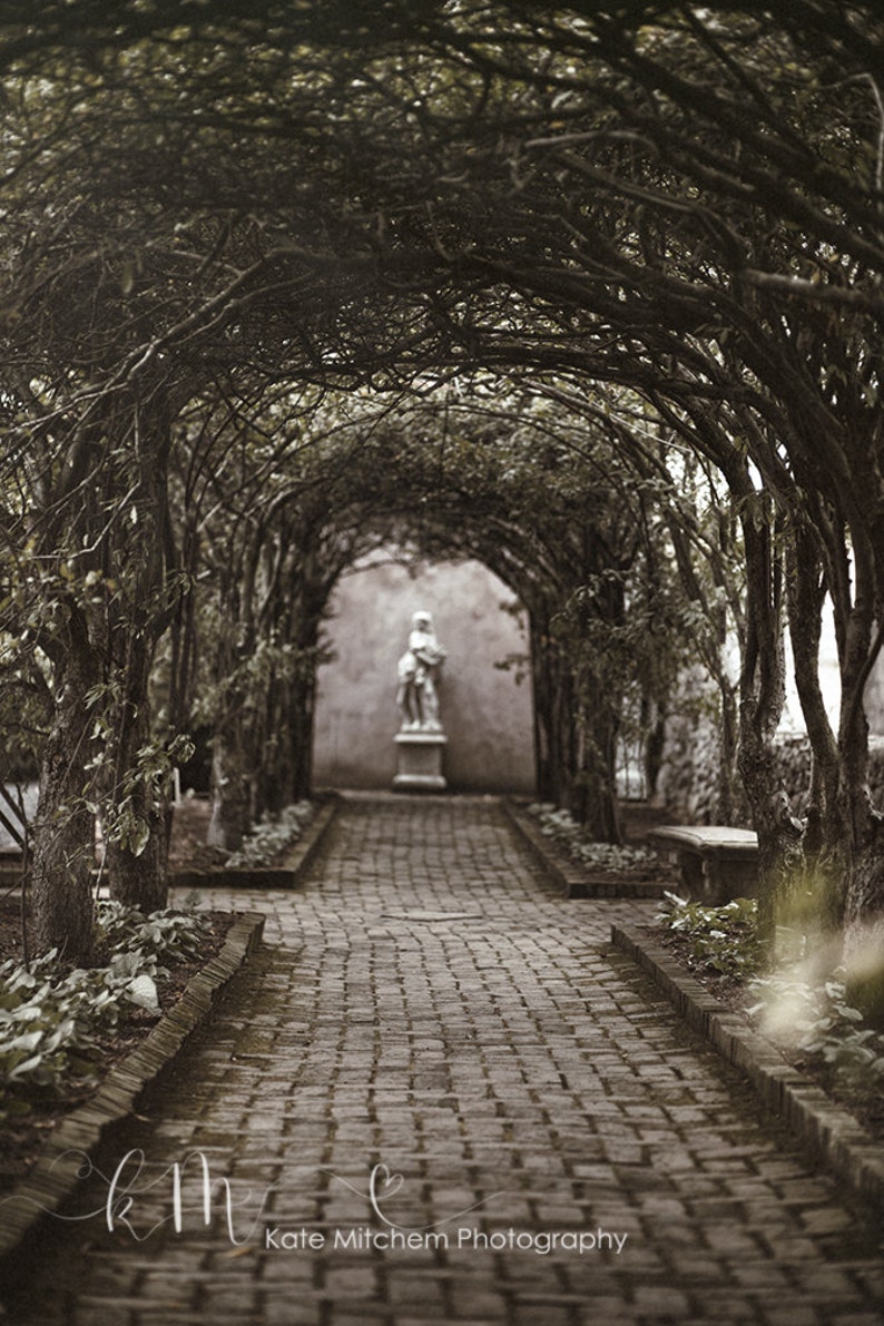Edgy Archway