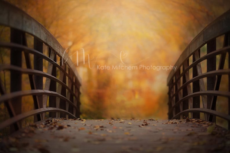 Digital Background in the fall image 1