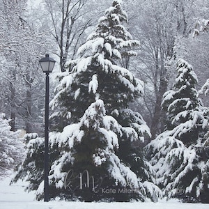 Könnte beinhalten: Eine verschneite Winterlandschaft mit einer schwarzen Straßenlaterne im Vordergrund. Die Laterne ist von immergrünen Bäumen umgeben, die mit Schnee bedeckt sind. Die Bäume befinden sich im Hintergrund des Bildes.