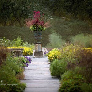 Digital-Hintergrund | Digitale Kulisse des Botanischen Garten Gehweg