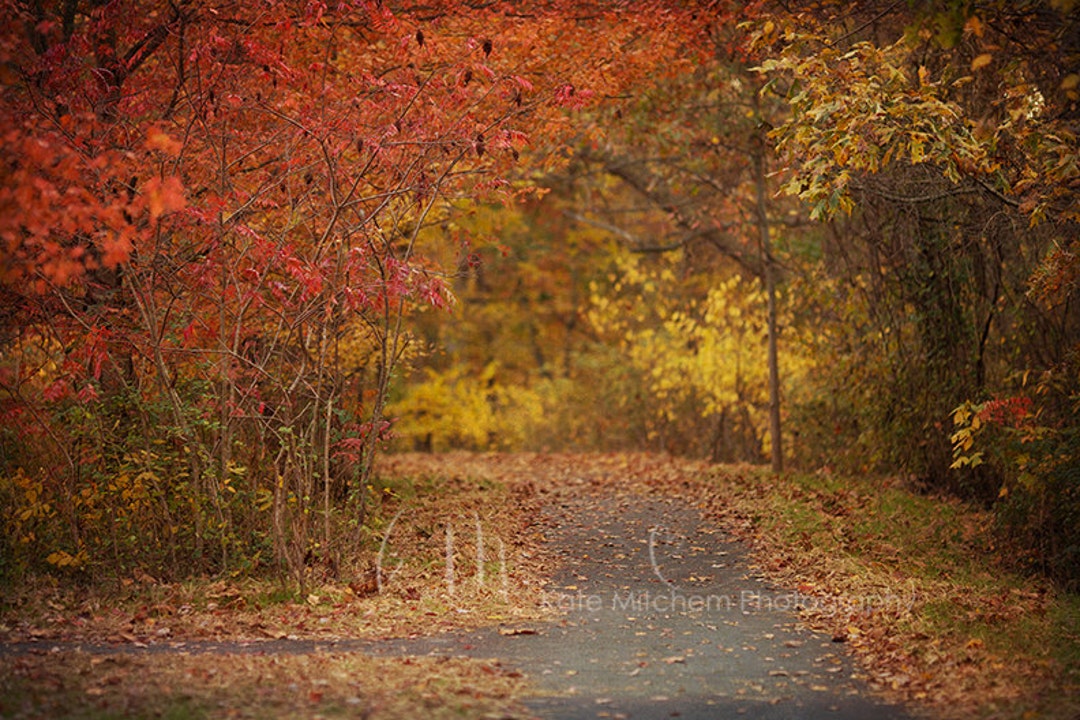 Digital Background for Fall Art - Etsy