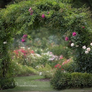 Digitaler Hintergrund der Botanischen GartenLaube