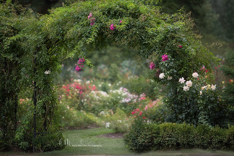Background flower garden discount