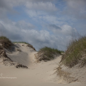 Digital background of beach view