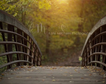 Digital Bridge Backdrop