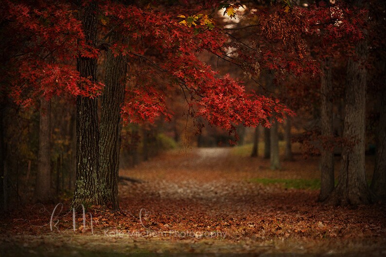 fall zoom background images fall zoom background images
