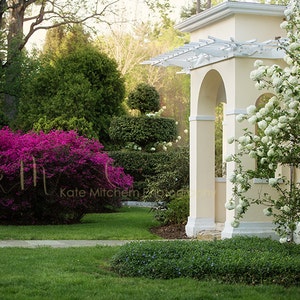 Digital Garden Backdrop for Photographers