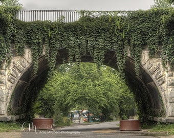 Digital Background of Moss covered Bridge