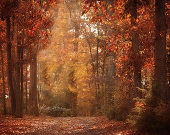 Fall pathway to light, digital background