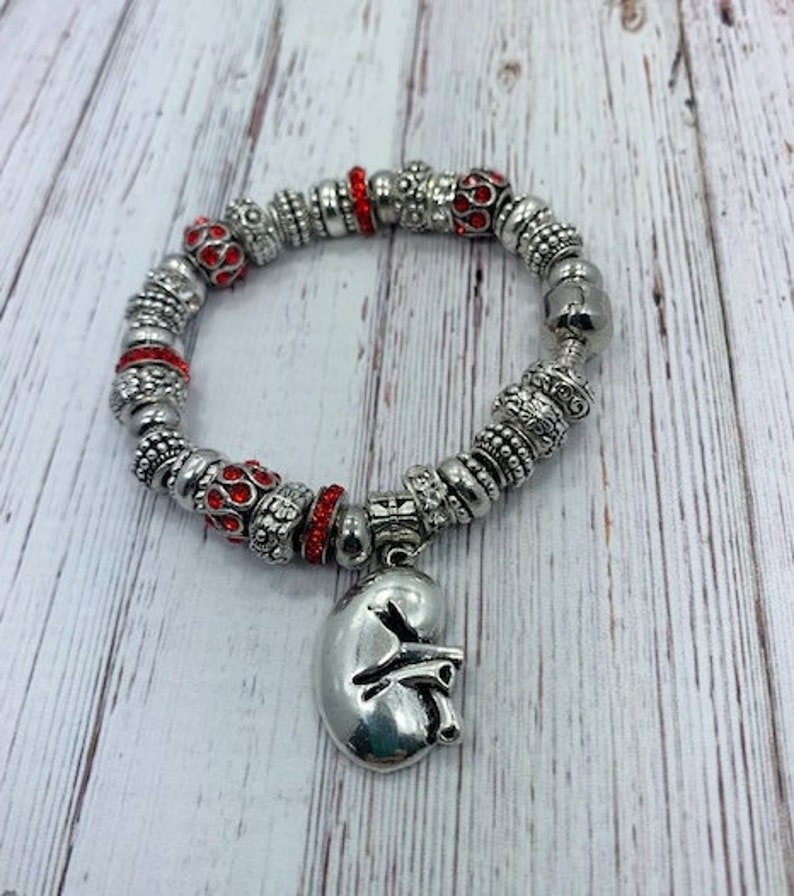 Kidney Charm Bracelet Etsy