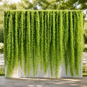 May include: A rectangular white backdrop wall completely covered by numerous long, dense strands of vibrant green trailing vines that hang vertically from the top edge, creating a lush, uniform curtain of foliage across the entire surface.