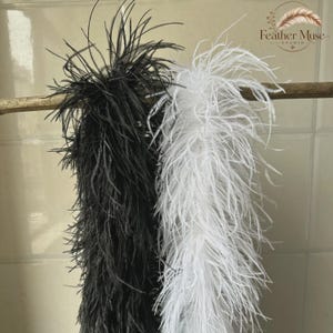 Pode incluir: Duas longas e vaporosas boas de penas de avestruz, uma em preto sólido e outra em branco sólido, estão penduradas numa vara de madeira horizontal. As penas são finas, delicadas e alongadas, criando uma textura suave que pende verticalmente.