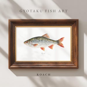 Gyotaku-inspirerad konst med mört – väggkonst med mört, gåva med grovfiske, tryck med brittisk sötvattensfisk, dekor med sportfiskare