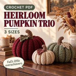 Puede incluir: Un patrón PDF de ganchillo para un trío de calabazas heirloom en 3 tamaños. La imagen muestra tres calabazas tejidas en rojo oscuro, beige y verde salvia, cada una con un tallo texturizado y una hoja. Texto: CROCHET PDF HEIRLOOM PUMPKIN TRIO 3 SIZES Fall's little overachievers.