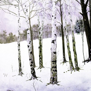 Winter Birches- Original print made by the Artist