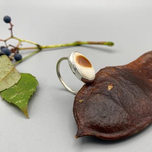 May include: A silver ring featuring an oval-shaped stone with a smooth, cream-colored surface and a distinct, centered brown spot. The ring band is thin and polished, showcasing a simple metal setting that holds the oval stone securely in place.