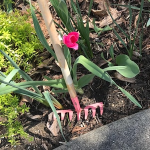 May include: A pink garden rake with a wooden handle rests in a garden bed. A vibrant pink tulip blooms nearby, surrounded by green foliage and brown mulch. The scene suggests gardening and springtime.