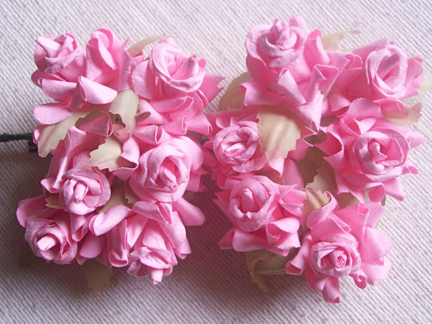 Essay on pink rose picture