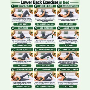 May include: An instructional chart titled Lower Back Exercises in Bed featuring twelve numbered panels. Each panel displays a person performing a specific exercise on a bed with descriptive text and repetition counts for each movement.