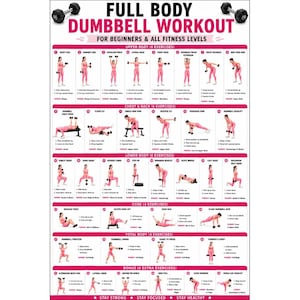 May include: A white instructional poster titled FULL BODY DUMBBELL WORKOUT FOR BEGINNERS & ALL FITNESS LEVELS. It features numerous small illustrations of a person in pink workout clothes performing various exercises with black dumbbells.