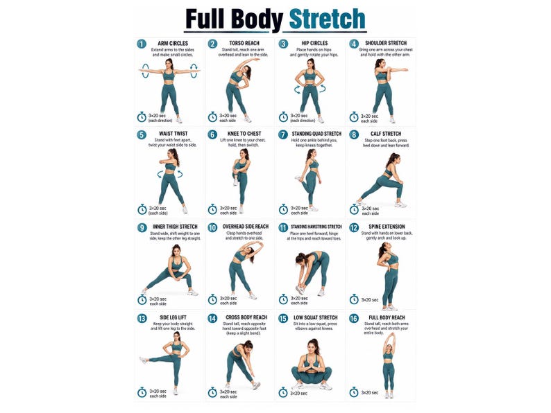 Free Printable Exercise .pdf Buy Full Body Stretching Exercises Printable Daily Flexibility ...