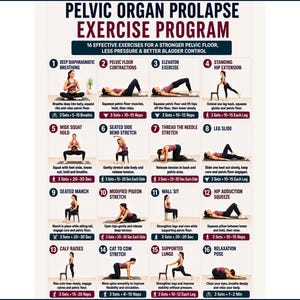 May include: A Pelvic Organ Prolapse Exercise Program chart featuring 16 numbered illustrations of physical movements. Each section includes a title, a visual demonstration of the exercise, instructional text, and specific repetition counts.