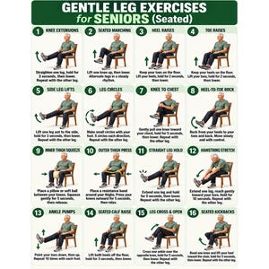 Gentel Leg Seated Exercises For Seniors Printable 16 Seated Leg Workout Exercise Chart For Mobility, Balance, Circulation & Strength PDF