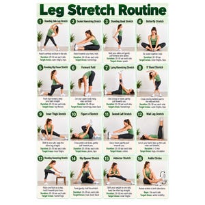 May include: A Leg Stretch Routine chart featuring sixteen numbered instructional panels. Each panel displays a person in green athletic wear performing a specific leg stretch, accompanied by text detailing the duration and target muscle areas.