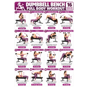 Peut inclure: Une affiche pédagogique blanche intitulée DUMBBELL BENCH FULL BODY WORKOUT présentant 16 illustrations d'exercices numérotées. Chaque section montre une personne en tenue de sport violette effectuant des mouvements avec des haltères sur un banc noir.