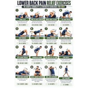 Lower Back Pain Relief Exercises for Men Printable 16 Gentle Back Stretches & Mobility Exercises Low Impact Home Workout Chart PDF