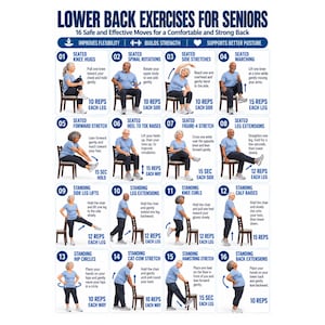 May include: An instructional poster titled Lower Back Exercises for Seniors featuring 16 numbered illustrations of individuals performing seated and standing movements. Each exercise includes a brief text description, repetition counts, and duration.