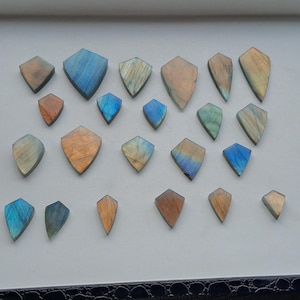 Puede incluir: Una colección de veintidós piedras preciosas de labradorita en forma de escudo dispuestas en filas sobre una bandeja de presentación blanca. Las piedras muestran destellos iridiscentes en azul, dorado, verde y gris, con superficies pulidas.