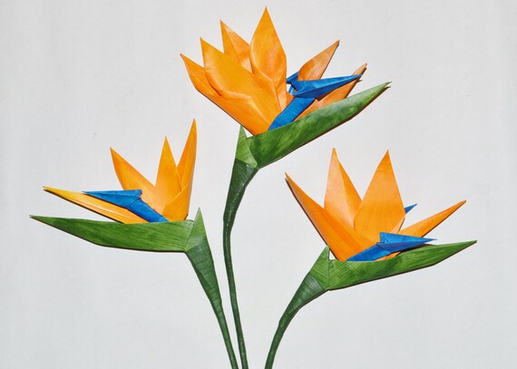 Articles Similaires à Origami Fleur Oiseau De Paradis Sur Etsy