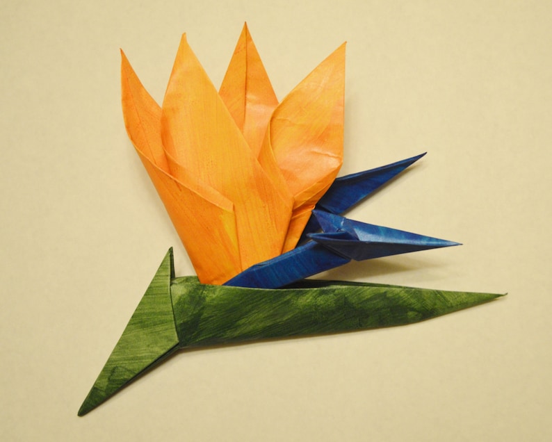Origami Diagrams Birdofparadise Flower Etsy