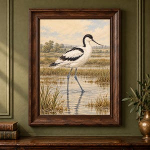 May include: A framed wall art print featuring a detailed illustration of an avocet bird standing in shallow water. The bird has black and white plumage, a long thin upturned beak, and slender blue-grey legs. The background depicts a marshy landscape.