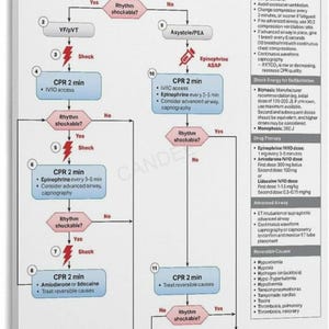 May include: A white rectangular wall chart titled Adult Cardiac Arrest Algorithm (VF/pVT/Asystole/PEA). It features a flow diagram with blue boxes for CPR steps, red diamonds for rhythm checks, and red lightning bolt icons for shock instructions.