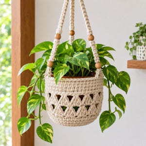 May include: A cream-colored crocheted plant hanger featuring a textured triangular pattern and smooth wooden beads. The hanger holds a potted pothos plant with variegated green and yellow heart-shaped leaves that drape over the sides.