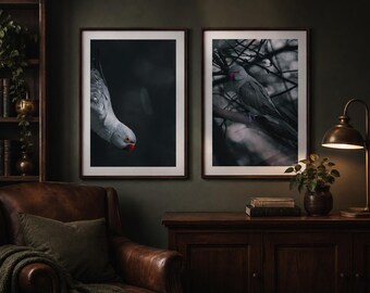 Stampe coordinate di coppie di parrocchetti: set di fotografie naturalistiche suggestive
