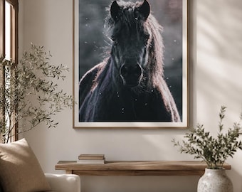 Stampa del ritratto di un pony gallese: fotografia di animali in controluce dall'atmosfera suggestiva (download digitale)