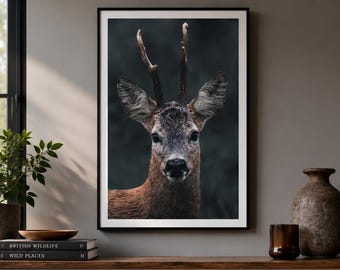 Quiete sotto la pioggia / Stampa artistica di un capriolo / Fotografia suggestiva di un bosco britannico