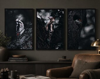 Trio di picchi maculati: un servizio fotografico naturalistico suggestivo