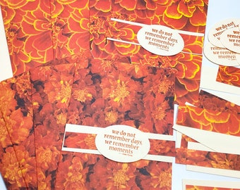 8 Marigolds DIY card kit, set of all occasion cards, bright orange, two sided, easy to assemble, wcards