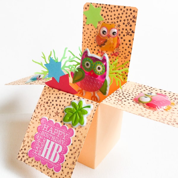 Birthday Owls Pop Up box card - Owl cards - Fishes, girls birthday cards