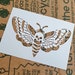 see more listings in the Stencils section