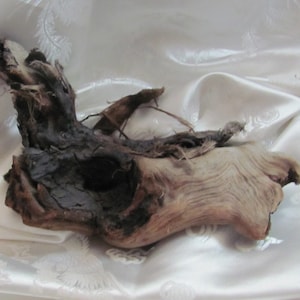 Unique Beach Driftwood Piece 8" Long // Natural Pacific Ocean Beach Drift Wood // Much more to choose from in my shop! *Buy The Shore*