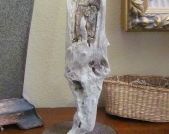 Unique Driftwood Piece Sculpture Display Stand Air Plant Succulent // Pacific Ocean Southern California Beaches *Buy The Shore*