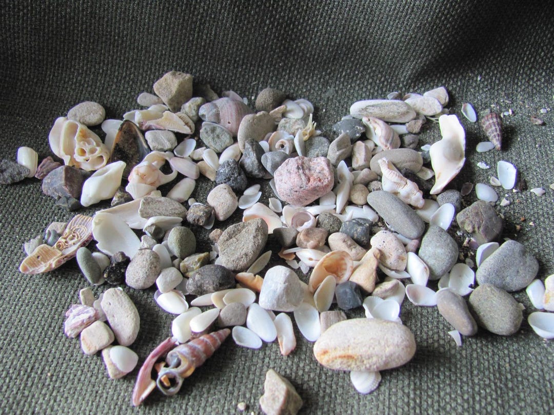 Ocean Rocks Small Lot of Assorted Small Beach Rocks Pebbles Shells Natural // Pacific ...